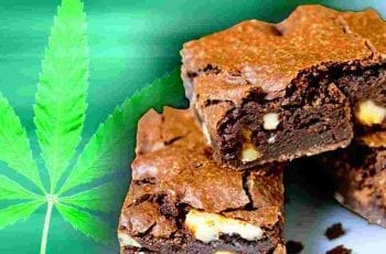Can I Make Money Selling Edibles? [Stoners’ Responses]