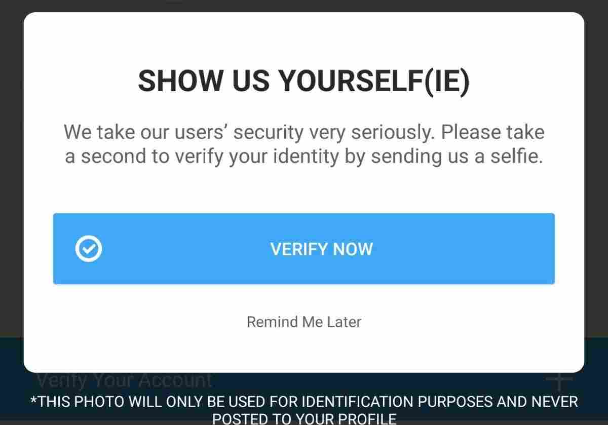How to bypass Bumble photo verification