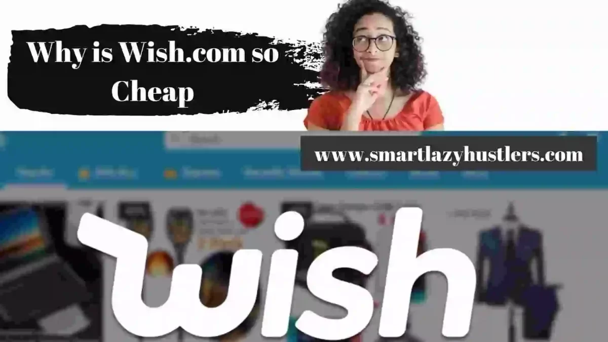 Why is Wish So Cheap – 10 Reasons [Personal Review]