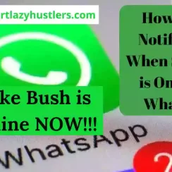 Get A Notification When Someone is Online on WhatsApp [4 Ways]